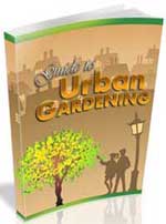 Guide To Urban Gardening