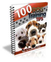 Dog Bite Prevention Handbook