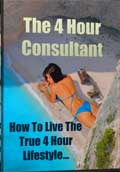 The 4 Hour Consultant