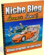 Niche Blog Affiliate Profits